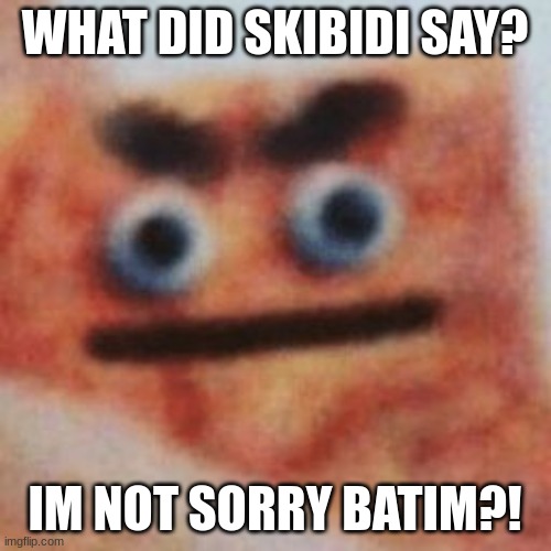 doctor's rebirth | WHAT DID SKIBIDI SAY? IM NOT SORRY BATIM?! | image tagged in doctor's rebirth | made w/ Imgflip meme maker