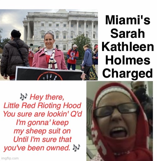 Sarah's Trial | image tagged in domestic terrorist,treason,loser losing | made w/ Imgflip meme maker