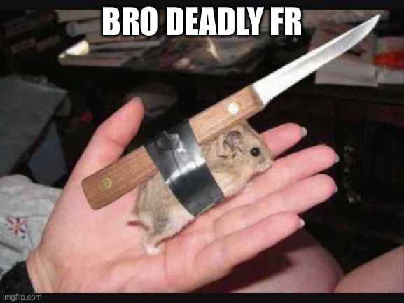 Lock and Load Hamster | BRO DEADLY FR | image tagged in lock and load hamster | made w/ Imgflip meme maker