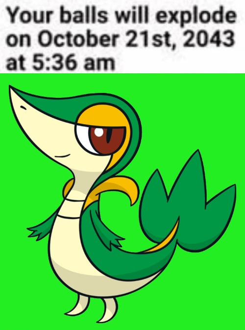 Explosive balls (Snivy) Blank Meme Template