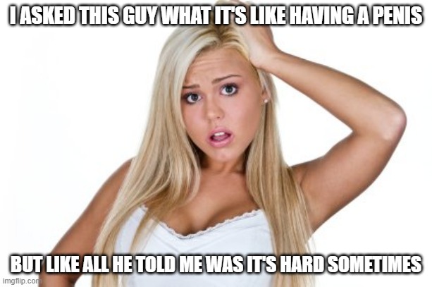 What's It Like? | I ASKED THIS GUY WHAT IT'S LIKE HAVING A PENIS; BUT LIKE ALL HE TOLD ME WAS IT'S HARD SOMETIMES | image tagged in dumb blonde | made w/ Imgflip meme maker