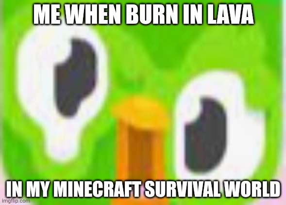 RIP DUO | ME WHEN BURN IN LAVA; IN MY MINECRAFT SURVIVAL WORLD | image tagged in rip duo | made w/ Imgflip meme maker