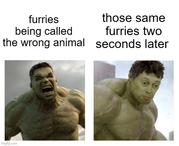 Hulk angry then realizes he's wrong | those same furries two seconds later; furries being called the wrong animal | image tagged in hulk angry then realizes he's wrong | made w/ Imgflip meme maker