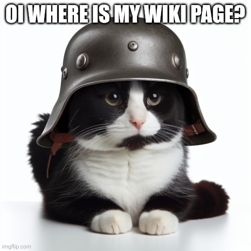 Kaiser_Floppa_the_1st silly post | OI WHERE IS MY WIKI PAGE? | image tagged in kaiser_floppa_the_1st silly post | made w/ Imgflip meme maker