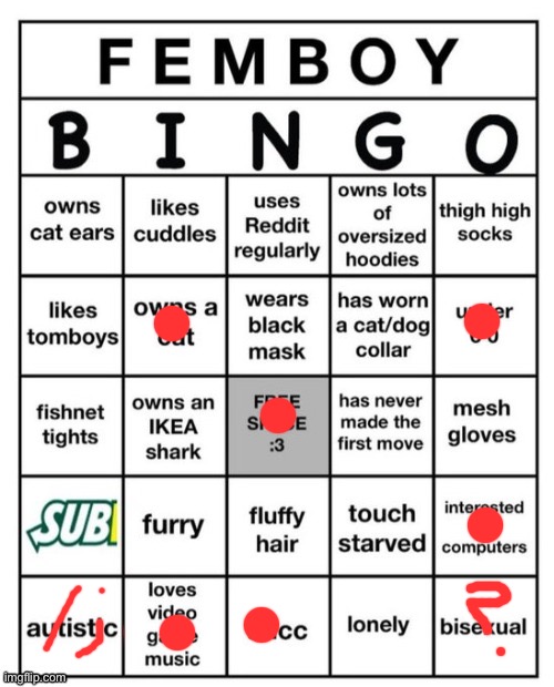 Femboy Bingo | image tagged in femboy bingo | made w/ Imgflip meme maker