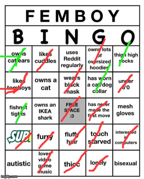 The green ones are what I want to be true | image tagged in femboy bingo | made w/ Imgflip meme maker