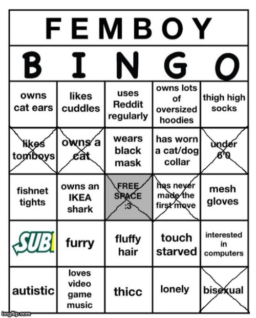 Femboy Bingo | image tagged in femboy bingo | made w/ Imgflip meme maker