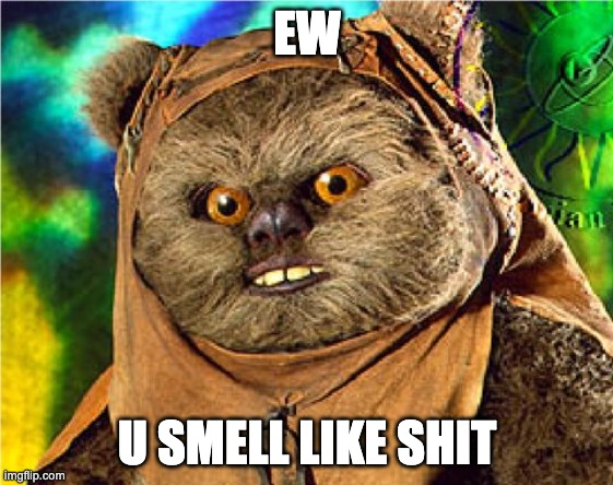 Angry Ewok | EW; U SMELL LIKE SHIT | image tagged in angry ewok | made w/ Imgflip meme maker