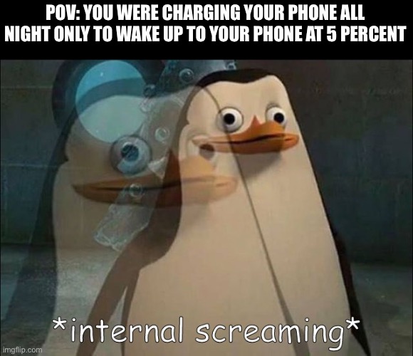 Ugh | POV: YOU WERE CHARGING YOUR PHONE ALL NIGHT ONLY TO WAKE UP TO YOUR PHONE AT 5 PERCENT | image tagged in private internal screaming | made w/ Imgflip meme maker