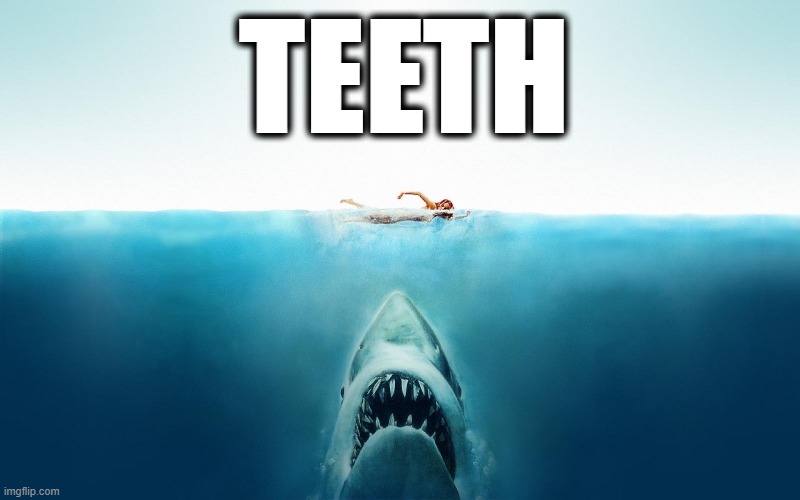 Jaws | TEETH | image tagged in jaws | made w/ Imgflip meme maker