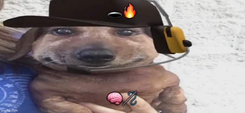 lobotomy dash | 🕳️🔥; 🧠🪡 | image tagged in chucklenuts | made w/ Imgflip meme maker