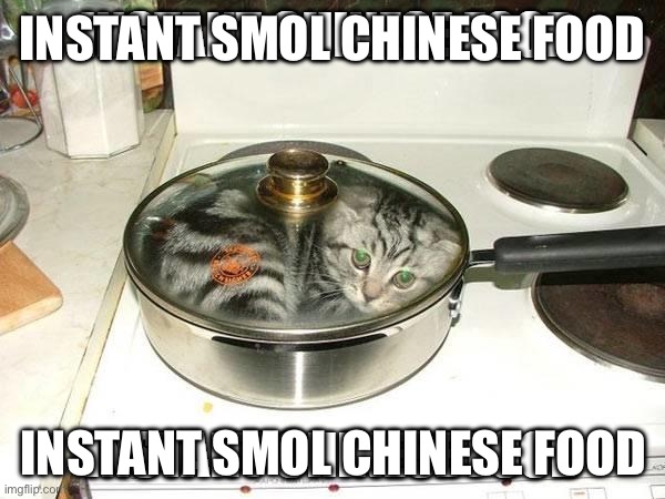 INSTANT CHINESE FOOD | INSTANT SMOL CHINESE FOOD INSTANT SMOL CHINESE FOOD | image tagged in instant chinese food | made w/ Imgflip meme maker