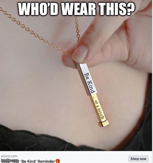 Queue up, ladies | WHO’D WEAR THIS? | image tagged in be kind,bitch | made w/ Imgflip meme maker