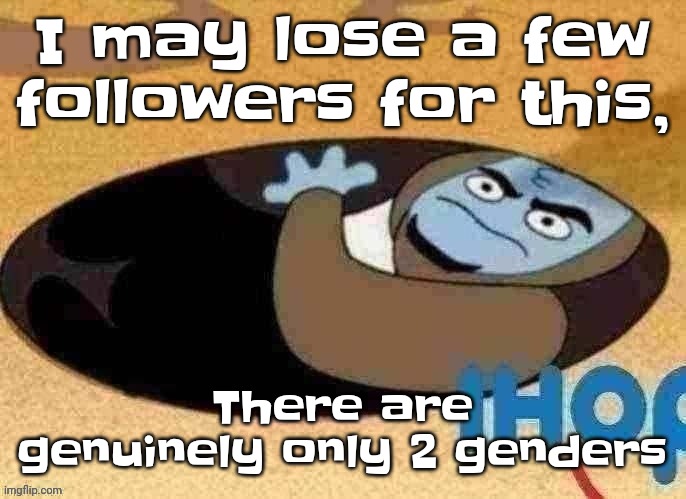 3 if you count attack helicopter | I may lose a few followers for this, There are genuinely only 2 genders | image tagged in ihop | made w/ Imgflip meme maker