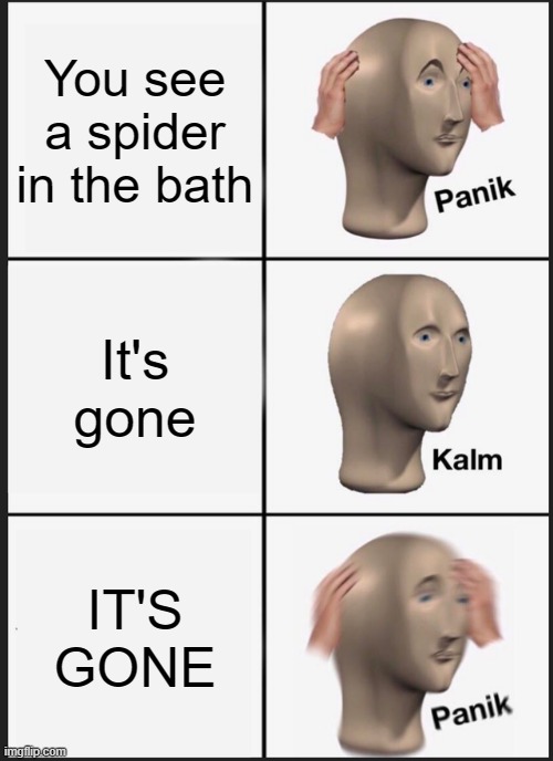 Panik Kalm Panik | You see a spider in the bath; It's gone; IT'S GONE | image tagged in memes,panik kalm panik,spider | made w/ Imgflip meme maker