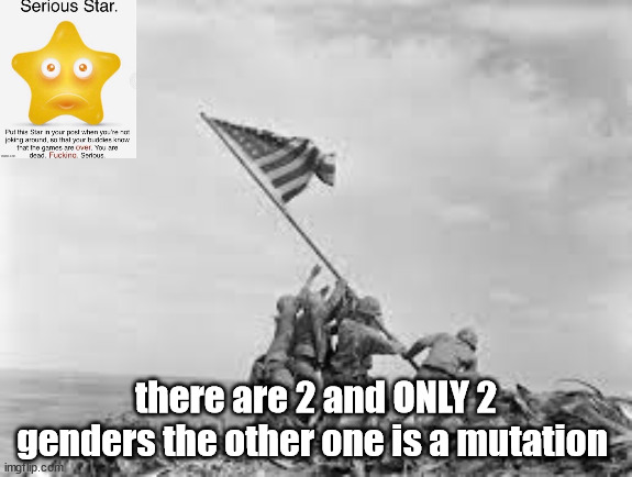 raising the flag | there are 2 and ONLY 2 genders the other one is a mutation | image tagged in raising the flag | made w/ Imgflip meme maker