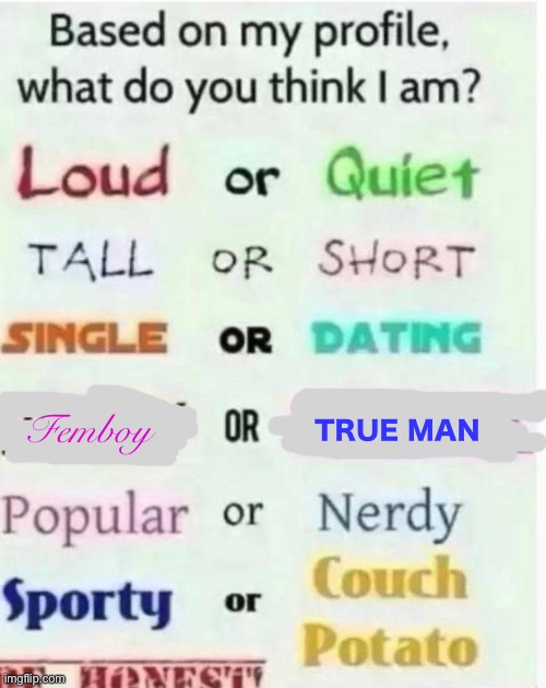 based on my profile what do you think I am? | TRUE MAN; Femboy | image tagged in based on my profile what do you think i am | made w/ Imgflip meme maker