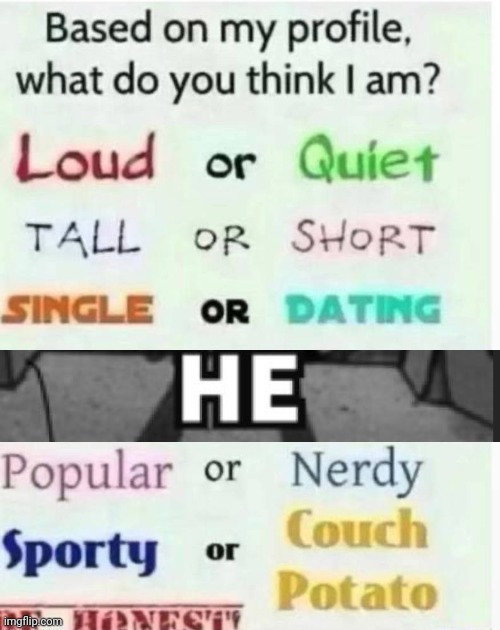 Hi chat | image tagged in based on my profile what do you think i am | made w/ Imgflip meme maker