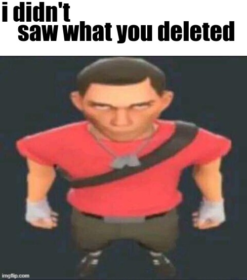 i saw what you deleted scout | i didn't | image tagged in i saw what you deleted scout | made w/ Imgflip meme maker