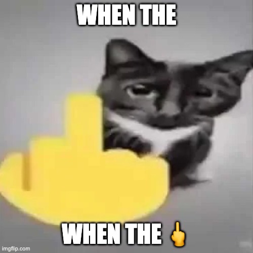 I'M BACK, SCRUNKLIES!!! | WHEN THE; WHEN THE 🖕 | image tagged in flip off cat | made w/ Imgflip meme maker
