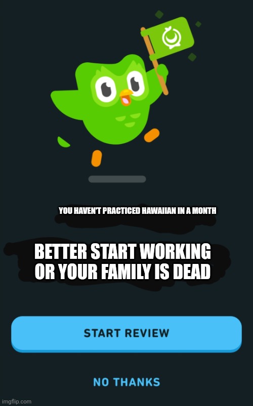 Time to move to another country! (Mod note- this happened to me, family is still alive) | YOU HAVEN'T PRACTICED HAWAIIAN IN A MONTH; BETTER START WORKING OR YOUR FAMILY IS DEAD | image tagged in duolingo when you haven't opened the app in 1 month,hawaiian | made w/ Imgflip meme maker