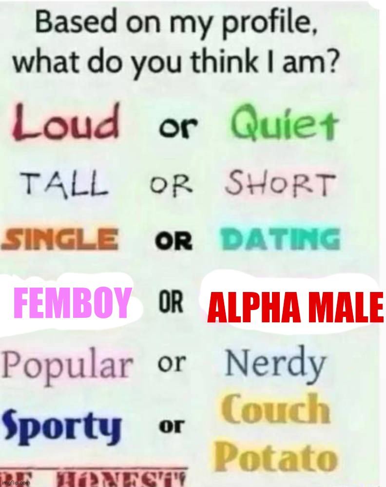 El femboy vs El racista | ALPHA MALE; FEMBOY | image tagged in based on my profile what do you think i am | made w/ Imgflip meme maker