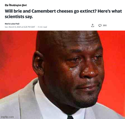 The lack of cheese is cheesy sad | image tagged in crying michael jordan,cheese,science,fungi | made w/ Imgflip meme maker