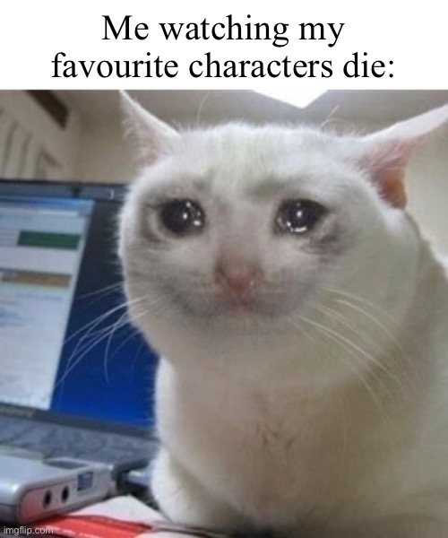 Fun fact: I experienced this 3 times | Me watching my favourite characters die: | image tagged in crying cat,memes,relatable,fictional characters,characters,fiction | made w/ Imgflip meme maker