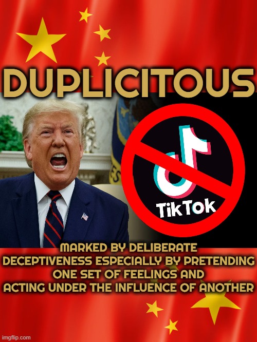 DUPLICITOUS | DUPLICITOUS; MARKED BY DELIBERATE DECEPTIVENESS ESPECIALLY BY PRETENDING ONE SET OF FEELINGS AND ACTING UNDER THE INFLUENCE OF ANOTHER | image tagged in duplicitous,deceitful,dishonest,fraudulent,insincere,shady | made w/ Imgflip meme maker