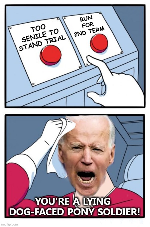 Old man yells at sky | RUN FOR 2ND TERM; TOO SENILE TO STAND TRIAL; YOU'RE A LYING 
DOG-FACED PONY SOLDIER! | image tagged in biden button push,classified,potus,hard choice to make | made w/ Imgflip meme maker
