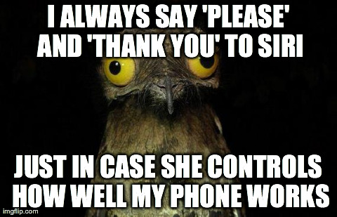 Weird Stuff I Do Potoo Meme | I ALWAYS SAY 'PLEASE' AND 'THANK YOU' TO SIRI JUST IN CASE SHE CONTROLS HOW WELL MY PHONE WORKS | image tagged in memes,weird stuff i do potoo | made w/ Imgflip meme maker