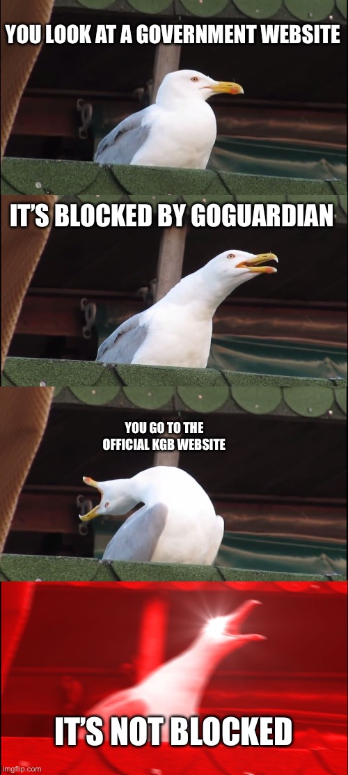 Inhaling Seagull Meme | YOU LOOK AT A GOVERNMENT WEBSITE; IT’S BLOCKED BY GOGUARDIAN; YOU GO TO THE OFFICIAL KGB WEBSITE; IT’S NOT BLOCKED | image tagged in memes,inhaling seagull | made w/ Imgflip meme maker