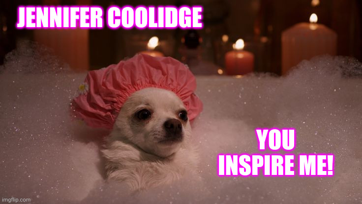 Jennifer is The Ultimate | JENNIFER COOLIDGE; YOU INSPIRE ME! | image tagged in chihuahua bubble bath,jennifer coolidge,inspiration,memes,dogs,motivation | made w/ Imgflip meme maker