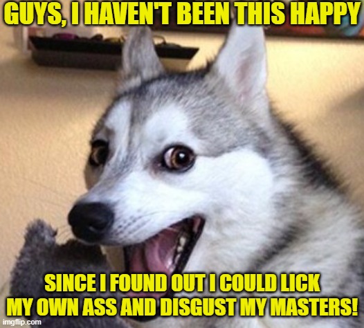 My Ass Dog | GUYS, I HAVEN'T BEEN THIS HAPPY; SINCE I FOUND OUT I COULD LICK MY OWN ASS AND DISGUST MY MASTERS! | image tagged in dog laugh,ass,fun | made w/ Imgflip meme maker