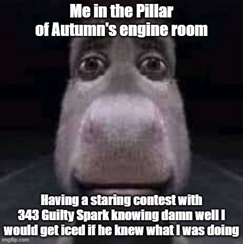 Donkey staring | Me in the Pillar of Autumn's engine room; Having a staring contest with 343 Guilty Spark knowing damn well I would get iced if he knew what I was doing | image tagged in donkey staring | made w/ Imgflip meme maker