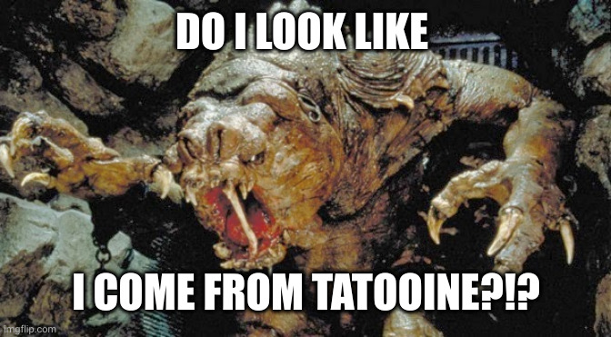 Rancor doesn't like sand | DO I LOOK LIKE; I COME FROM TATOOINE?!? | image tagged in rancor,memes,fish out of water,star wars,tatooine,i hate this job | made w/ Imgflip meme maker