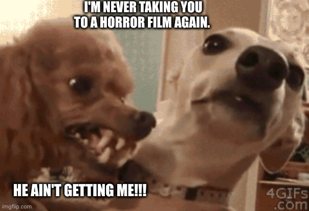 Horror movies are bad date nights | I'M NEVER TAKING YOU TO A HORROR FILM AGAIN. HE AIN'T GETTING ME!!! | image tagged in angry doog,horror movie,memes,date night,dogs,agro | made w/ Imgflip meme maker