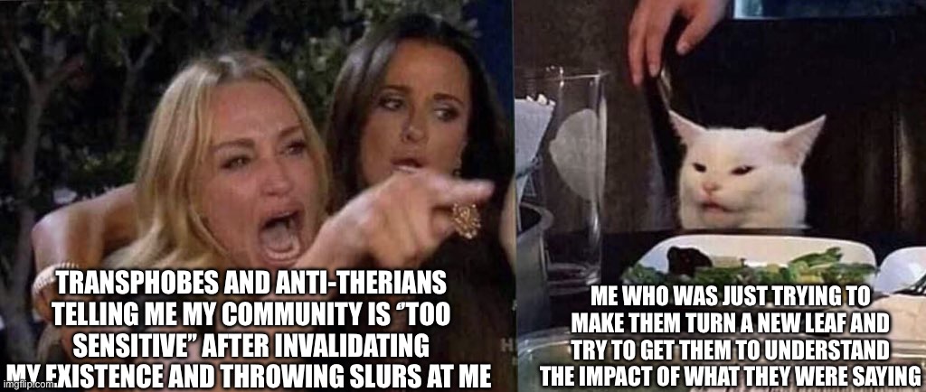 Every time | ME WHO WAS JUST TRYING TO MAKE THEM TURN A NEW LEAF AND TRY TO GET THEM TO UNDERSTAND THE IMPACT OF WHAT THEY WERE SAYING; TRANSPHOBES AND ANTI-THERIANS TELLING ME MY COMMUNITY IS ‘’TOO SENSITIVE’’ AFTER INVALIDATING MY EXISTENCE AND THROWING SLURS AT ME | image tagged in woman yelling at cat | made w/ Imgflip meme maker