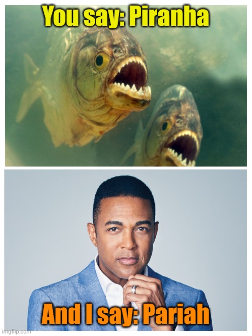 Let's call the whole thing off... | You say: Piranha; And I say: Pariah | made w/ Imgflip meme maker