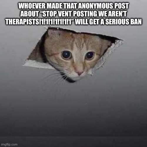 Anonymous Cat is a great person whose feelings are 200% valid! | WHOEVER MADE THAT ANONYMOUS POST ABOUT “STOP VENT POSTING WE AREN’T THERAPISTS!1!1!1!1!1!1!1” WILL GET A SERIOUS BAN | image tagged in memes,ceiling cat | made w/ Imgflip meme maker