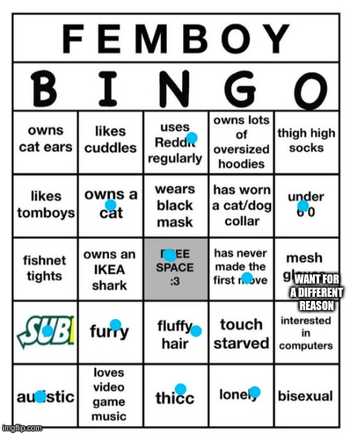 Femboy Bingo | WANT FOR A DIFFERENT REASON | image tagged in femboy bingo | made w/ Imgflip meme maker