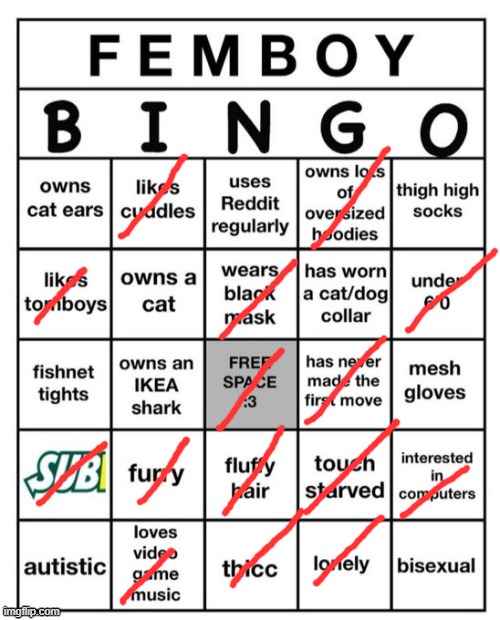 Femboy Bingo | image tagged in femboy bingo | made w/ Imgflip meme maker