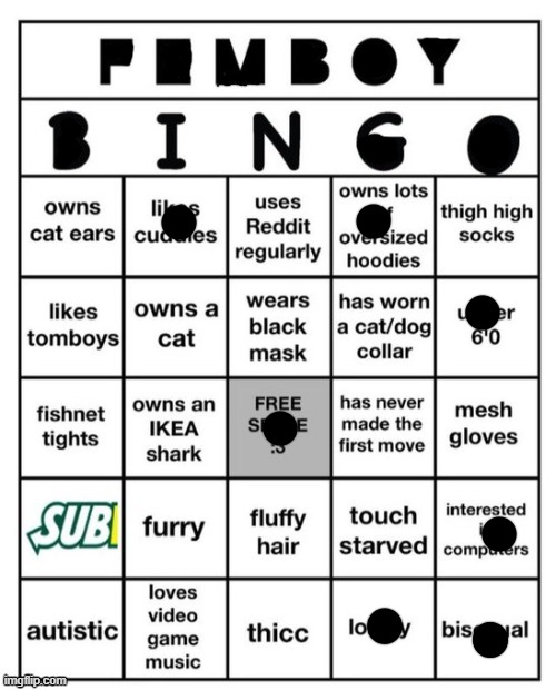 Femboy Bingo | image tagged in femboy bingo | made w/ Imgflip meme maker
