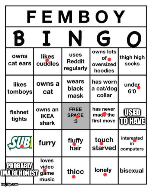 Femboy Bingo | USED TO HAVE; PROBABLY IMA BE HONEST | image tagged in femboy bingo | made w/ Imgflip meme maker