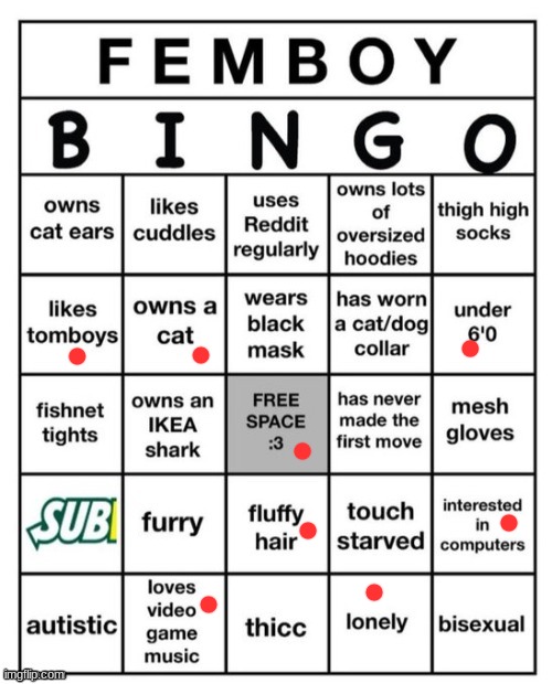 Femboy Bingo | image tagged in femboy bingo | made w/ Imgflip meme maker