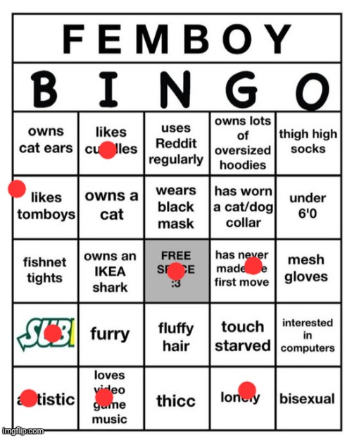 why not | image tagged in femboy bingo | made w/ Imgflip meme maker