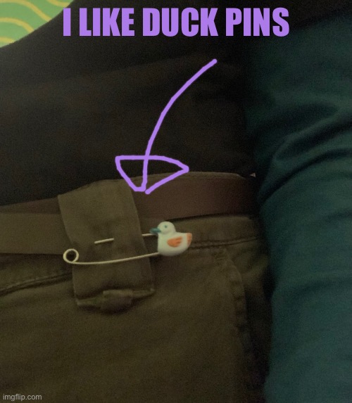 I LIKE DUCK PINS | made w/ Imgflip meme maker