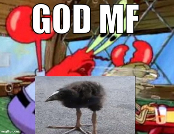 GOD MF DAMN | image tagged in god mf damn | made w/ Imgflip meme maker