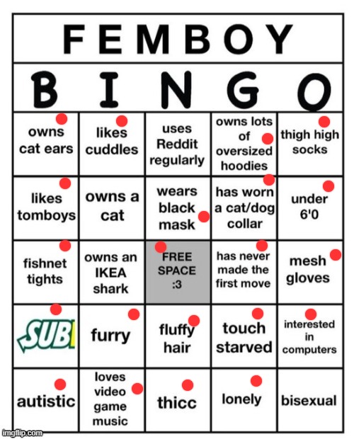 Femboy Bingo | image tagged in femboy bingo | made w/ Imgflip meme maker