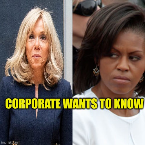 Corporate Wants To Know | CORPORATE WANTS TO KNOW | image tagged in michelle obama,macron,election fraud,hoax,fake people,pretend | made w/ Imgflip meme maker